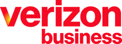 Verizon_Business_2024
